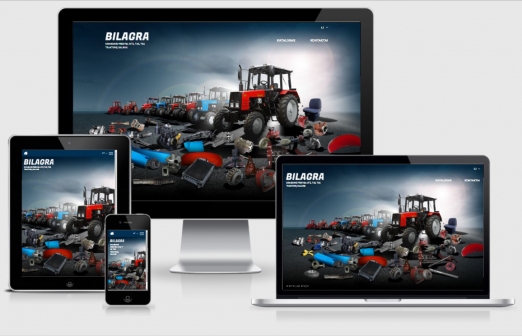 Website bilagra.lt